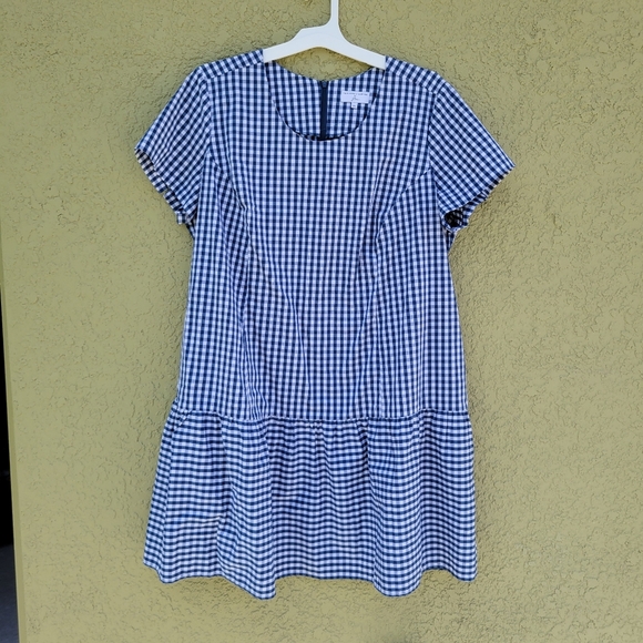UNIVERSAL STANDARD X J.CREW Gingham Drop Waist Dress - Picture 3 of 5